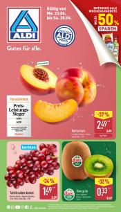 ALDI Nord Angebote vom 23.06.25 Bis 28.06.25 - insgesamt 45 Seiten